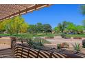 Patio view of well maintained community park with mature trees, shrubs, and walking paths at 3147 N Couples Dr, Goodyear, AZ 85395