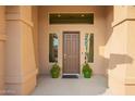 Charming front entrance with decorative plants, transom window and neutral tones at 5528 W Mine Trl, Phoenix, AZ 85083