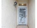 Close-up of the front door featuring a decorative security screen with desert-themed artwork at 1366 E Desert Fern Trl, Casa Grande, AZ 85122