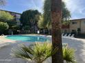 Community pool with lounge chairs, palm trees, nearby condos and an iron fence at 355 E Thomas Rd # B207, Phoenix, AZ 85012