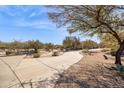 Long, private driveway leading to a desert home surrounded by native vegetation at 23520 N 80Th Way, Scottsdale, AZ 85255