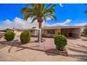 Well-maintained single-story home with desert landscaping, lush bushes, and a covered carport at 5445 E Dallas St, Mesa, AZ 85205