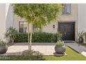 Charming front entrance with a brick pathway, manicured hedges, and stylish planters flanking the doorway at 7694 E Minnezona Ave, Scottsdale, AZ 85251