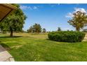 View of backyard and golf course at 18211 N Conestoga Dr, Sun City, AZ 85373