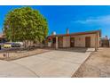 View of charming brick home featuring a large tree and covered parking at 20053 N 15Th Dr, Phoenix, AZ 85027