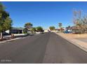 A quiet residential street with well-maintained homes and mature trees on a sunny day at 637 E Kramer St, Mesa, AZ 85203