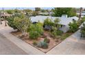 Charming home with desert landscaping featuring cacti and native plants in the front yard at 1345 W 14Th St, Tempe, AZ 85281