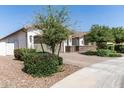 Beautiful single-story home boasts a well-manicured front yard, stone accents, and a two-car garage at 11818 W Luxton Ln, Avondale, AZ 85323