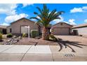 Charming single-story home featuring a well-maintained landscape with a distinctive palm tree and gravel yard at 43261 W Neely Dr, Maricopa, AZ 85138