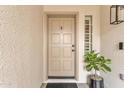 Close-up view of front door with decorative hardware, side window and modern exterior light fixture at 844 E San Remo Ave, Gilbert, AZ 85234