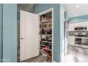 Well-stocked pantry with ample shelving space in a modern kitchen with gray-toned wood floors at 17216 E Salida Dr # B, Fountain Hills, AZ 85268