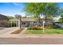 Charming single-story home with a lush front yard, mature tree, a basketball hoop, and inviting curb appeal at 252 E Orange Dr, Phoenix, AZ 85012