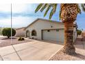Attractive single-story home featuring desert landscaping, palm tree, and a paved driveway at 8229 E Farmdale Dr, Mesa, AZ 85208