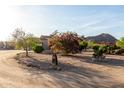 A desert landscaped front yard with mature trees and a rustic wagon wheel decoration at 20420 N 22Nd St, Phoenix, AZ 85024