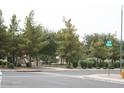 Community park featuring a playground, walking path, and plenty of lush trees at 2917 S 121St Ln, Tolleson, AZ 85353
