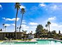 Resort-style community pool featuring multiple lounge chairs surrounded by mature palm trees at 4800 N 68Th St # 314, Scottsdale, AZ 85251