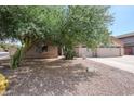 Desert-landscaped front yard with a mature shade tree, complemented by the home's neutral palette and welcoming entrance at 656 W Johnson Dr, Gilbert, AZ 85233