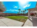 Expansive backyard featuring a well-manicured lawn, mature palm trees, and a covered patio at 11317 W Cottonwood Ln, Avondale, AZ 85392