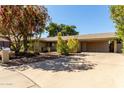 Charming single-story home featuring a covered carport, desert landscaping, and mature trees at 2433 E Acoma Dr, Phoenix, AZ 85032