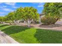 Lush front lawn with vibrant green grass, mature trees, and well-maintained landscaping enhances curb appeal at 3461 E Indigo Cir, Mesa, AZ 85213