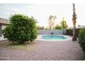Backyard showcasing a refreshing pool, lush green trees and desert landscaping at 2738 E Libby St, Phoenix, AZ 85032