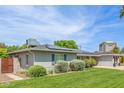 Landscaped front yard featuring lush green grass and mature plants at 4208 E Windsor Ave, Phoenix, AZ 85008