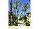 Scenic view of a community pool area lined with tall palm trees under a clear blue sky at 4925 E Desert Cove Ave # 236, Scottsdale, AZ 85254