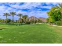 Scenic golf course view with palm trees, manicured green and mountain backdrop for a resort lifestyle at 5960 E Orange Blossom Ln, Phoenix, AZ 85018