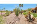 Expansive side yard featuring rock ground cover, desert landscaping, and wrought iron fence at 15834 W Avalon Dr, Goodyear, AZ 85395