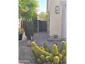 Landscaped side yard with a pathway, lush greenery, and desert plants leading to a backyard gate at 172 S Agua Fria Ln, Casa Grande, AZ 85194