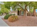 Landscaped front yard with lush green bushes and desert flora enhance curb appeal at 20583 N Ryans Trl, Maricopa, AZ 85138