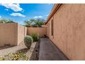 Side yard with desert landscaping and mature plants at 21819 N 48Th St, Phoenix, AZ 85054