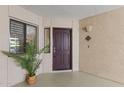 Cozy entrance features a dark wood door, neutral textured walls, and a small window with a decorative potted plant at 5104 N 32Nd St # 311, Phoenix, AZ 85018