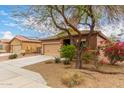 Single-story home with a two-car garage and desert landscaping with a beautiful tree in the front yard at 10835 W Saddlehorn Rd, Peoria, AZ 85383