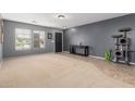 Bright living room with gray walls, neutral carpet, console table, cat tree, and natural light at 11737 W Robin Dr, Sun City, AZ 85373