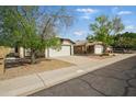 Cozy single-Gathering homes with a two-car garage, desert landscaping and mature trees under a clear blue sky at 11815 N 75Th Ln, Peoria, AZ 85345