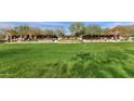 Expansive community green space with manicured lawn and pergola-covered seating areas at 18502 N 98Th Way, Scottsdale, AZ 85255