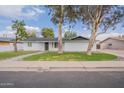 Single-story home with a well-manicured lawn and mature trees at 711 N 22Nd St, Mesa, AZ 85213
