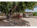Charming home with a covered parking, rock landscaping, and mature trees at 8323 E Deep Canyon Ct, Mesa, AZ 85208