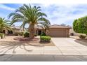 Inviting single-story home with a spacious driveway, desert landscaping, and a vibrant palm tree at 16331 W Tierra Way, Surprise, AZ 85374