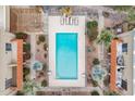Bird's eye view of a refreshing community pool with lounge chairs and desert landscaping at 16336 E Palisades Blvd # 7, Fountain Hills, AZ 85268