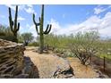 Backyard pathway with desert vegetation, rock features, and privacy fence at 6114 E Carriage Dr, Cave Creek, AZ 85331