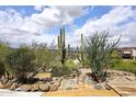Lush desert landscaping features native plants, rocks, and stone pathway, with a distant mountain view at 6114 E Carriage Dr, Cave Creek, AZ 85331
