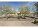 Charming home with desert landscaping and mature trees at 17324 E Quail Track Rd, Rio Verde, AZ 85263