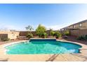 Inviting backyard with a sparkling pool, mature landscaping, and a privacy wall for serene outdoor living at 21963 W Tonto St, Buckeye, AZ 85326