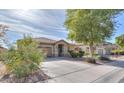 Attractive single-story home featuring desert landscaping and a spacious driveway at 241 W Atlantic Dr, Casa Grande, AZ 85122