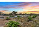 Lush garden area with raised beds and young trees at sunset at 16643 W Quail Run Rd, Surprise, AZ 85378