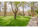 Well-manicured green lawn surrounded by mature trees and lush landscaping at 6540 N 7Th Ave # 46, Phoenix, AZ 85013