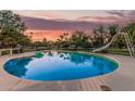 Backyard pool featuring slide, lush landscaping, and a tranquil, shaded atmosphere at 370 E Redfield Rd, Chandler, AZ 85225