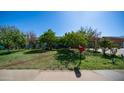 Spacious front yard with mature trees, green grass, and a red mailbox on a sunny day at 18829 N 23Rd Ave, Phoenix, AZ 85027